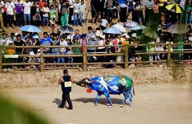 Compétition Bodypainting Buffalo en Chine
