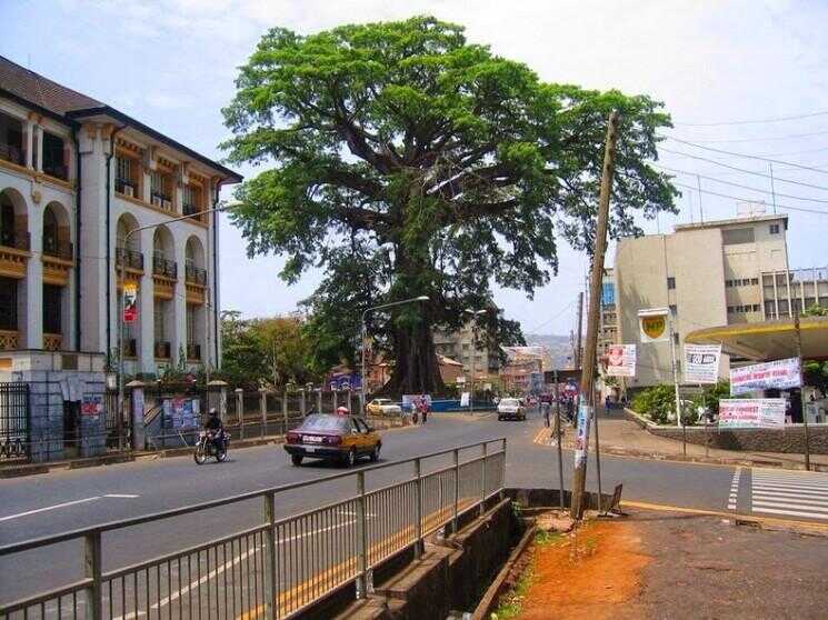 Le Cotton Tree à Freetown, en Sierra Leone