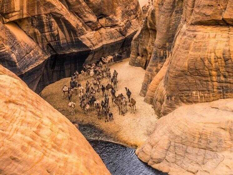 Guelta dâ € ™ Archei, une Oasis Surprenant au Tchad
