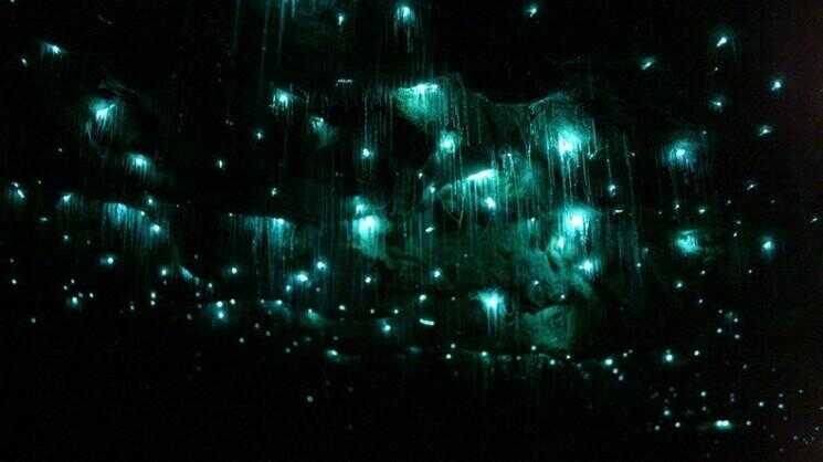 Waitomo Glowworm Caves, Nouvelle-Zélande