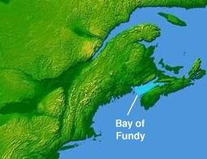 Marées à La baie de Fundy