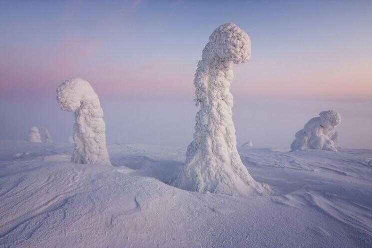 Arbres gelés de l'Arctique: Photographies par Niccolò Bonfadini
