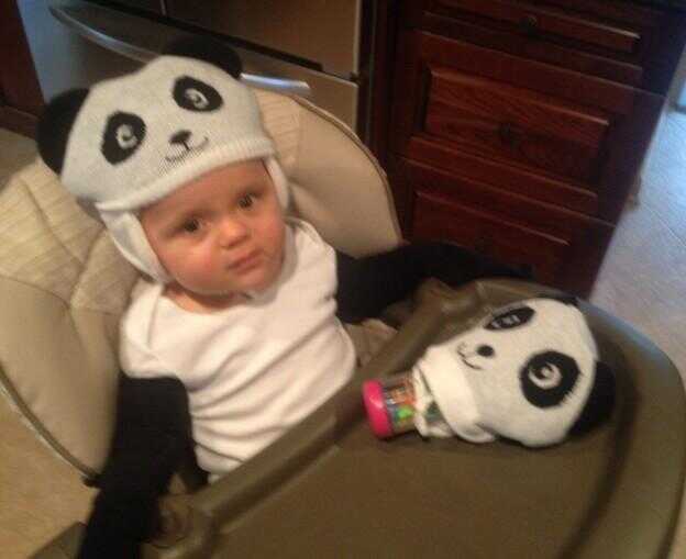 Alors que le Panda Cam Is Down, faux bébé panda est là pour vous aider