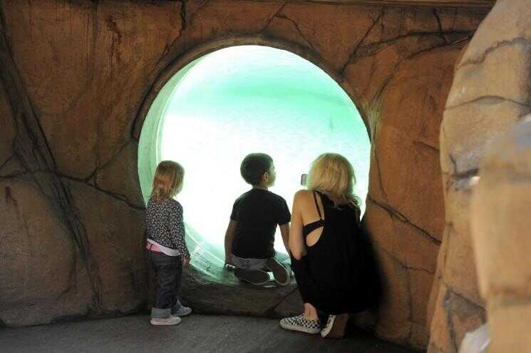 Gwen Stefani prend Kingston et Zuma au zoo (Photos)