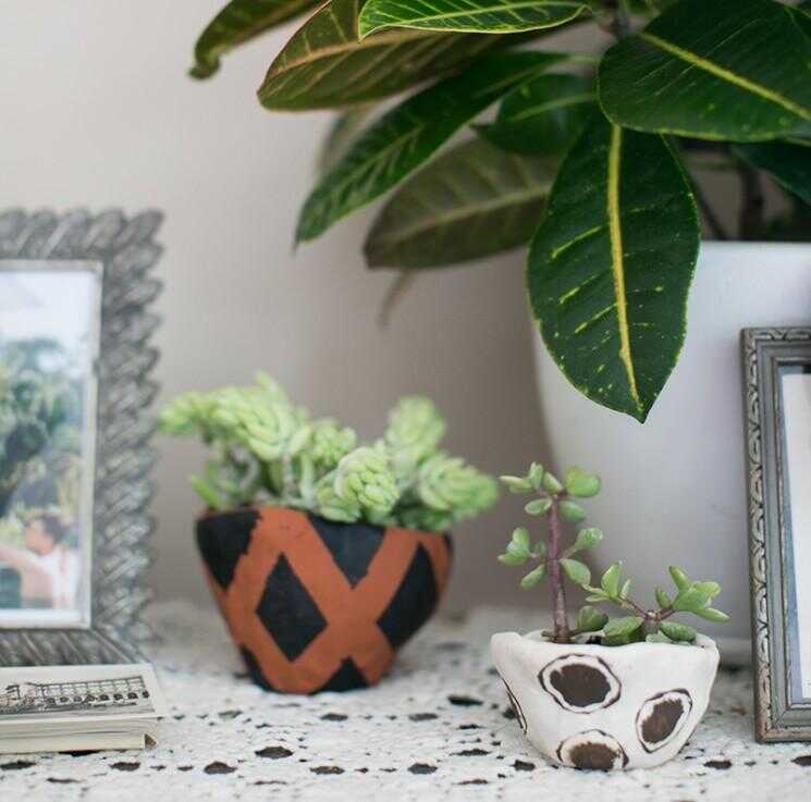 Pots pincement qui créent une belle maison pour vos plantes
