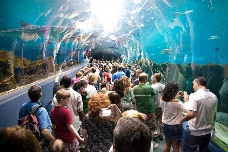 Georgia Aquarium: le plus grand aquarium dans le Monde