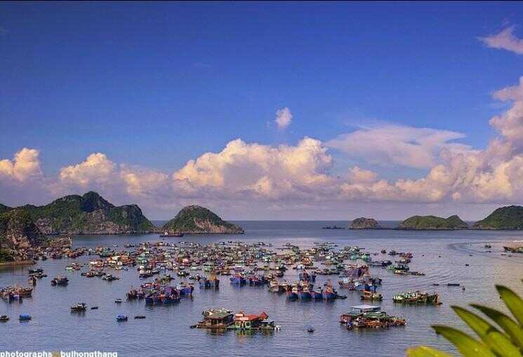 Flottants villages près de l'île de Cat Ba, Vietnam