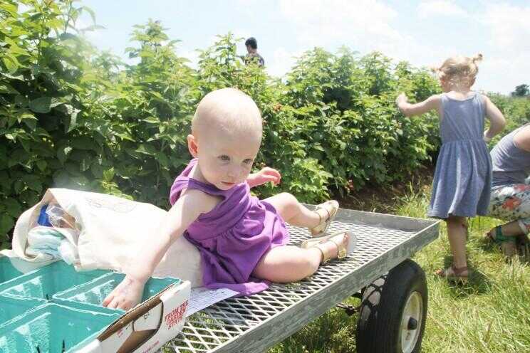 Une journée à la ferme: Avery Goes Berry Picking (PHOTOS)